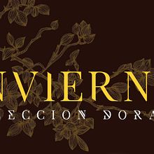 Catalogo chocolat. Un proyecto de Bellas Artes, Diseño, Diseño editorial y Diseño gráfico de Ricard Colom Romero - 13.12.2016