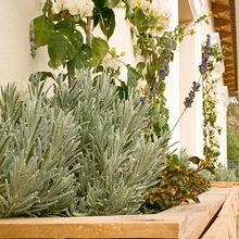 Diseño de banco-jardinera, jardinera perimetral y mesa móvil con palets reutilizados  Ein Projekt aus dem Bereich Architektur, Innenarchitektur, H, werk, Design, Möbeldesign und - bau und Produktdesign von DIKA estudio - 06.11.2014
