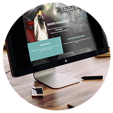 PERRUQUERíA_art.era. Br, ing, Identit, Web Development, Design, and Traditional illustration project by @art.era - 12.25.2016
