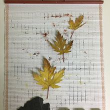 Mi Proyecto del curso: "Cuaderno del huerto". Projekt z dziedziny  Sztuki piękne użytkownika Encarna Gallego - 11.01.2017