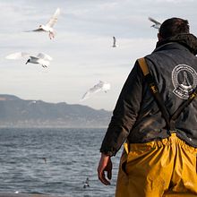 La pesca del Galan. Un progetto di Fotografia di Eder Pozo Pérez - 03.01.2017