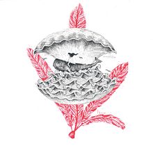 Recuerdos del mar. Arts, Crafts, and Traditional illustration project by Pablo Choca - 10.24.2017