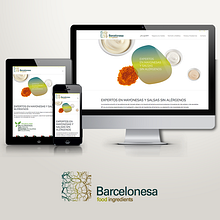 Barcelonesa Food Ingredients. Un progetto di Web design e UX / UI di Borja Cabeza Cabello - 05.03.2016