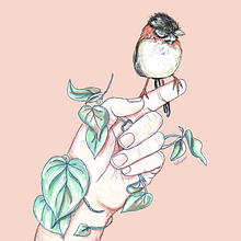 Madre Ein Projekt aus dem Bereich Traditionelle Illustration von Marianella Snowball Jiménez - 09.11.2016