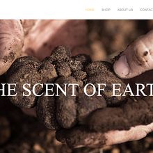 Truffle And Tree - diseño web. Web Development, Graphic Design, and Web Design project by Alessandro Arcangeli - 01.11.2017