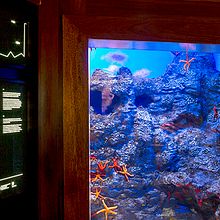 Aquarium Donostia-San Sebastián. Art Direction, and Graphic Design project by TGA - 01.12.2017