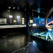 Aquarium Donostia-San Sebastián. Interior Architecture & Interactive Design project by TGA - 01.12.2017