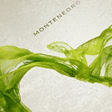 Packaging "Montenegro" zapato de mujer.. Art Direction, and Graphic Design project by Pepe Sierras - 01.12.2017