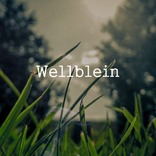 Wellblein Website. Een project van  Webdevelopment, Interactief ontwerp, Webdesign y UX / UI van NO — CODE - 16.01.2017