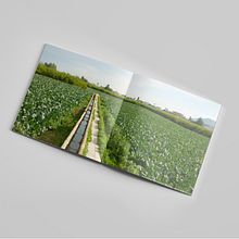 Jornadas de la Huerta. Direção de arte, Design, e Design editorial projeto de Taller Topotesia - 15.01.2017