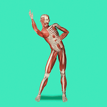 Staying alive . Animație de _ Portela - 09.14.2016