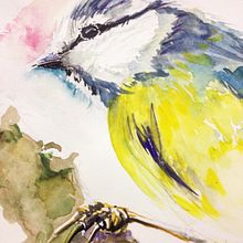 MALLARENGA BLAVA    @Illustraciencia. Un proyecto de Artesanía, Bellas Artes e Ilustración tradicional de miyeguisensey - 20.03.2016