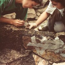 CONSERVACIÓN DE LA PINTURA MURAL EN SITIOS ARQUEOLÓGICOS: PROBLEMÁTICA Y ESTRATEGIAS DE INTERVENCIÓN. IPCE - Escuela Patrimonio Histórico de Nájera. Architecture, and Painting project by Teresa Valle - 01.24.2017