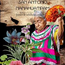 foro de plantas medicinales. Information Design project by miguelvalienteflores - 01.24.2017