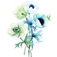 Flores botánica  Ein Projekt aus dem Bereich Traditionelle Illustration von Paulina Maciel · Canela - 25.01.2017