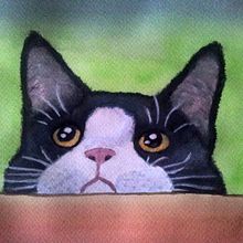 Gato Acuarela. Traditional illustration project by JESSICA BERRAQUERO LARA - 01.27.2017