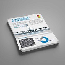 Fact Sheet. Editorial Design, Graphic Design, Marketing, and Advertising project by Amaya Ríos - 01.28.2016