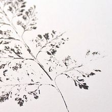 Gyotaku. Fine Arts, Design, and Traditional illustration project by maria lluveras serra - 01.29.2017