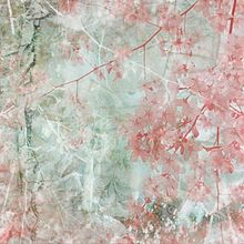 Design Scrap Papers Ein Projekt aus dem Bereich Design von Sylvia Miniaturas - 21.02.2017