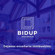 Bidup. Un proyecto de Br, ing e Identidad, Dirección de arte, Diseño gráfico y Diseño Web de Aleks Figueira - 31.01.2017