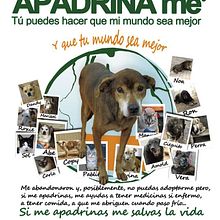 Svpap Apadríname. Un proyecto de Cop, writing, Diseño gráfico y Publicidad de Yolanda SR - 31.01.2017