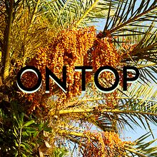 ON TOP. Photograph project by Javier Calvete García - 02.03.2017