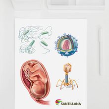 Santillana España (libros de Biología). Un progetto di Graphic design e Illustrazione tradizionale di Giselle P Vitali Di Maria - 30.04.2016