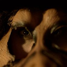 MONKEY EXPRESS - Teaser. Cinema, e Cinema, Vídeo e TV projeto de Albert Marsà Ruiz - 05.02.2017