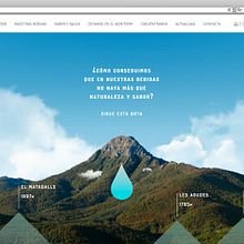 Web corporativa para Liquats Vegetals. . Un proyecto de Desarrollo Web de rseoaneb - 14.11.2016