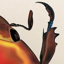 Chrysina Aurigas roja. Traditional illustration project by Vicente Gómez Alfonso - 07.15.2015