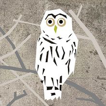 kiti-nu products . Un proyecto de Ilustración tradicional de katrina mernagh - 07.02.2017
