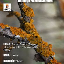 Diseño de Cartelería y Fotografía para Ecologistas en Acción. Un proyecto de Diseño gráfico, Diseño de carteles, Fotografía e Ilustración tradicional de Mónica Roberts - 07.11.2018