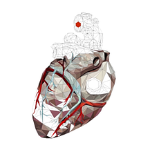 Geometric_Heart_Work_Process_Nude. Projekt z dziedziny  Animacja, Trad, c, jna ilustracja i Film użytkownika Sergio Gómez - 08.02.2017