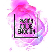 Campaña Camelias Alemania. Un proyecto de Dirección de arte, Diseño gráfico y Publicidad de creatividad y diseño - 03.01.2017