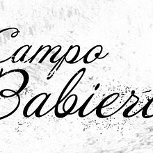 Campo Babiero. Br, ing, Identit, Graphic Design, Packaging, and Photograph project by Aroa Diez - 02.08.2015