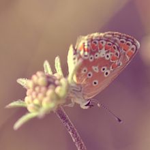 FOTOGRAFÍA MICRO. Un proyecto de Fotografía de Blanca Moncunill - 10.02.2017