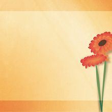 Sólo una flor. Design, Graphic Design, and Traditional illustration project by Nieves Gonzalez - 02.15.2017