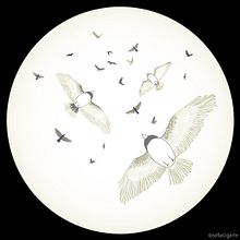 Flying Birds Pattern print Design . % Sofia Ugarte tarafından hazırlanan Tasarım, Geleneksel illüstrasyon, Ve Güzel sanatlar projesi - 02.15.2017