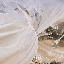 Fotografía contemporánea mexicana.. Un proyecto de Fotografía de aa Farias - 16.02.2017