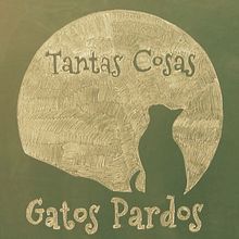 "Tantas Cosas" de Gatos Pardos. Projekt z dziedziny  Muz i ka użytkownika Manuel Martínez - 25.01.2014