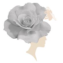 Petvlos graphic design. Un proyecto de Diseño gráfico de Amaia Barazar Salazar - 19.02.2017