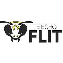 Te echo flit (servicio de fumigación). Graphic Design project by Ana Michelle Guerra - 02.21.2017