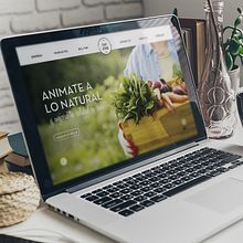 San Jose - Web Institucional. Web Development, Design, Graphic Design, Web Design, and UX / UI project by Mariana Lopez Neugebauer - 11.19.2016