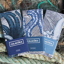Envoltorio Chocolate - Calacora. Br, ing, Identit, Naming, Packaging, and Product Design project by Marcos Rodríguez - 01.23.2017