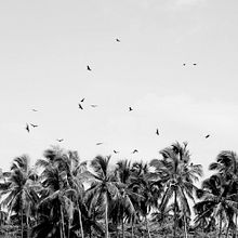 PAISAJES. Photograph project by Inés Lendínez - 02.25.2017