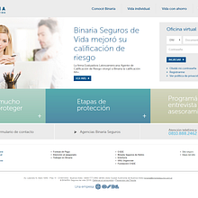 Binaria Seguros . % Anton Smolik tarafından hazırlanan Web Geliştirme projesi - 02.26.2016
