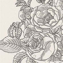 Ilustración vectorial fondo floral. Traditional illustration, and Fine Arts project by Ana Sansó - 11.30.2016