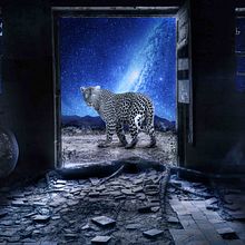 Proyecto: Fotomontaje y retoque creativo, "Orion". Design, and Graphic Design project by Reynaldo Mallea - 02.27.2017