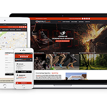 Diseño y desarrollo web - SprintChip. Web Development, Web Design, and UX / UI project by Moisés Miranda - 03.01.2017