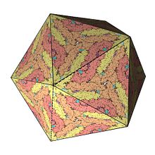 Flavivirus  Papercraft. Un proyecto de 3D de dbr3d - 26.02.2017